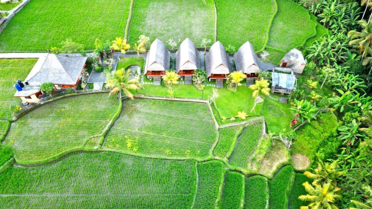 Villa Pondok Gandalangu Ubud-Dikelilingi Hamparan Sawah Exterior foto