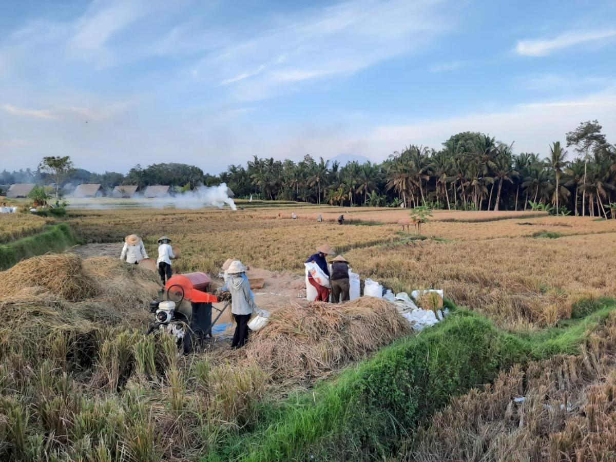 Villa Pondok Gandalangu Ubud-Dikelilingi Hamparan Sawah Exterior foto