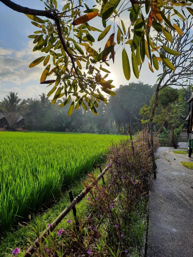 Villa Pondok Gandalangu Ubud-Dikelilingi Hamparan Sawah Exterior foto