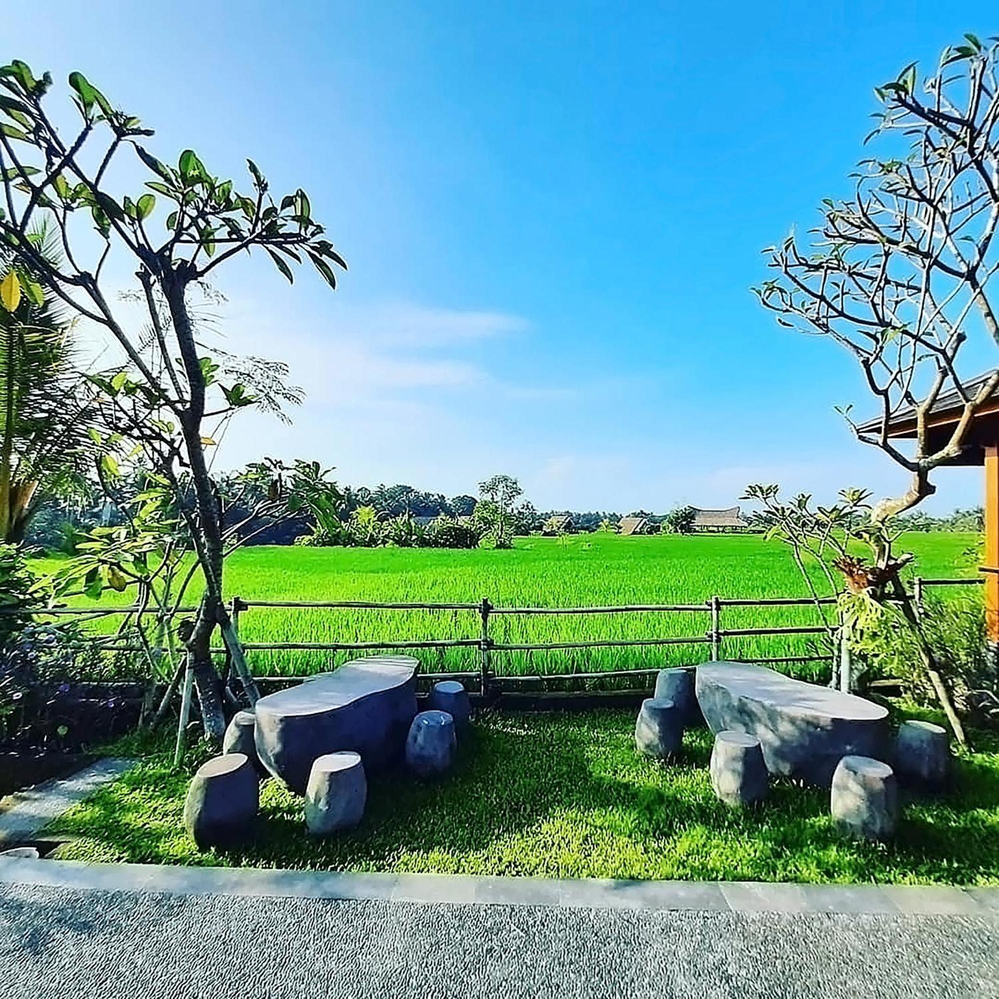 Villa Pondok Gandalangu Ubud-Dikelilingi Hamparan Sawah Exterior foto